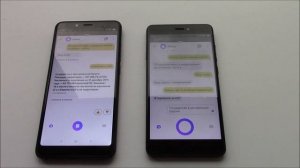 Две Алисы общаются по душам, обсуждают новости