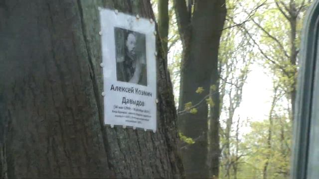 Санкт Петербург смотреть онлайн
