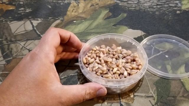 Хмельная перловка для рыбалки смотреть онлайн