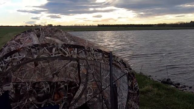 Утренняя зорька на частном озере. смотреть онлайн