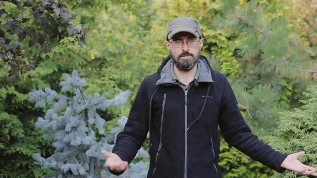 Современные формы и технологии экскурсионной работы на примере Ботанического сада МГУ смотреть онлайн