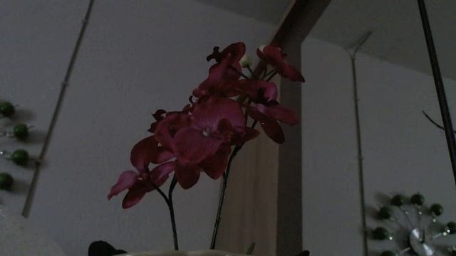 My Weekdays Silent LS! Pasok Lang Po Kayo! Wag Kalimotang Mag Tamsak! Salamat! смотреть онлайн