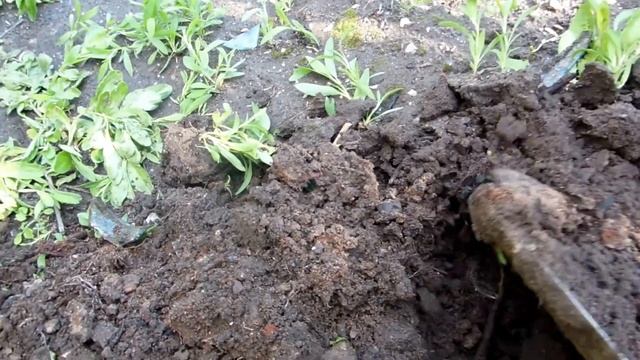 Металлоискатель Пират, первый коп, самодельный металлоискатель пират, Реальный заработок на металле смотреть онлайн