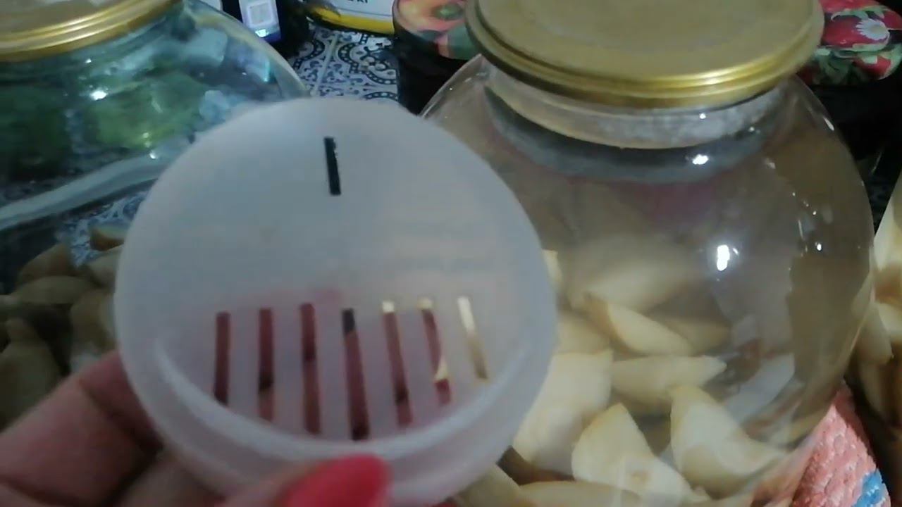 САД И ОГОРОД