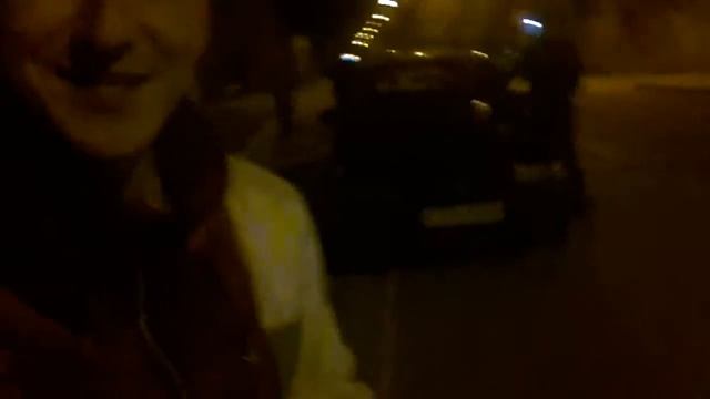 Прогулка на ночь с собакой смотреть онлайн