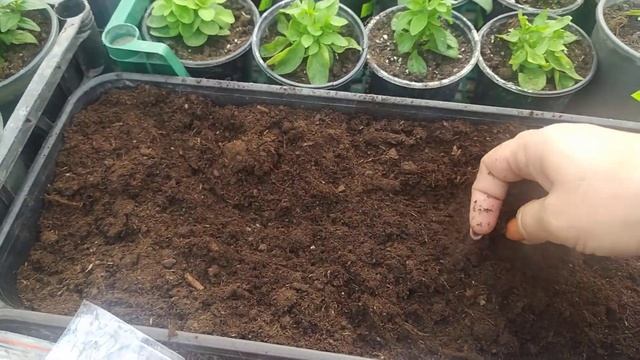 Посев, где купить семена цветов и овощей, дешевле, чем у всех смотреть онлайн
