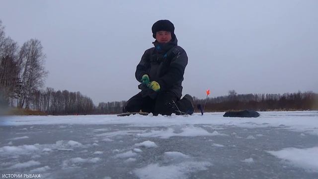 ЖЕРЛИЦЫ зимние. СРАБОТКА ЗА СРАБОТКОЙ. ЛОВЛЯ ЩУКИ НА ЖЕРЛИЦЫ НА ЛЕСНОМ ОЗЕРЕ. ЧАСТЬ 1. смотреть онлайн