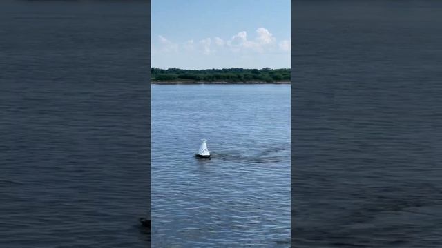 ОТ НИЖНЕГО НОВГОРОДА ДО ГОРОДЦА смотреть онлайн