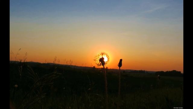 ТУГАН ЯК-НОТЫ для гармони..смотреть описание смотреть онлайн