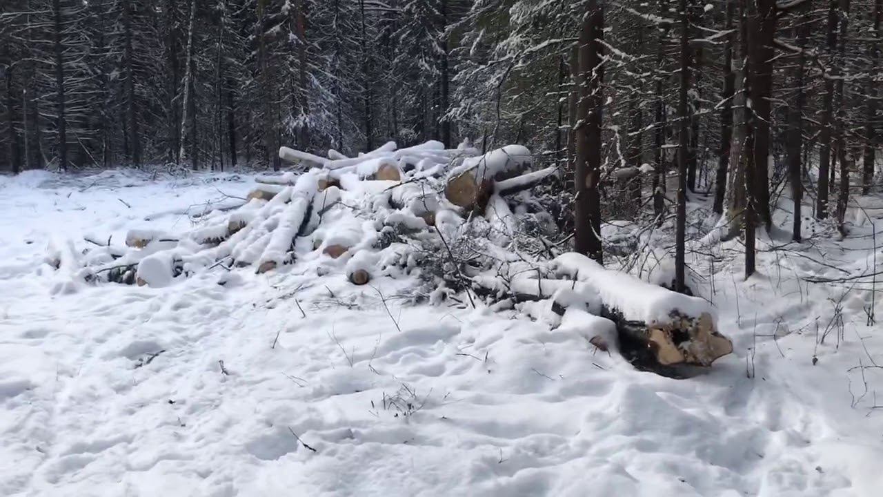 Лесовозные будни!!! Опять такси))) смотреть онлайн
