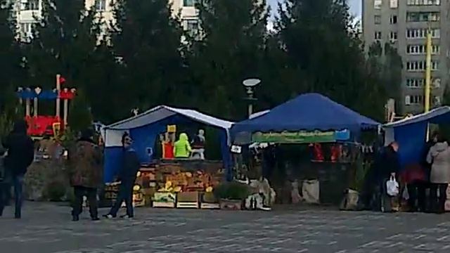 Белгородские фермеры представили свою продукцию на фестивале смотреть онлайн