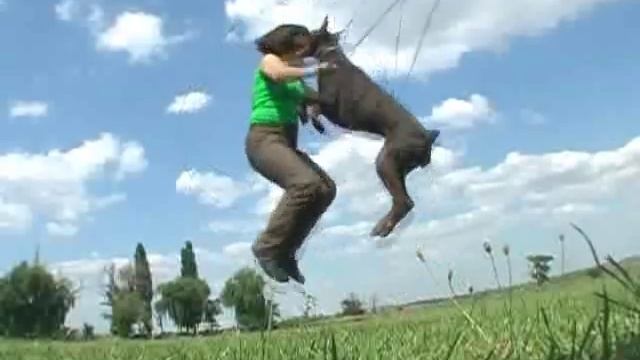 Azarta iz gratsiano. New trick! смотреть онлайн