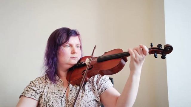 Ukrainian Anthem On Violin