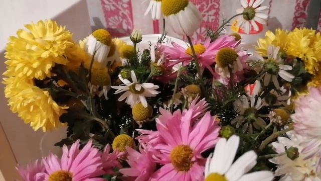 Ромашки в ноябре Печки лавочки Видео экспромт, без гримма,Как живут в деревне смотреть онлайн