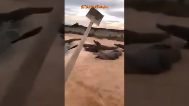 Работа для пенсионеров! смотреть онлайн