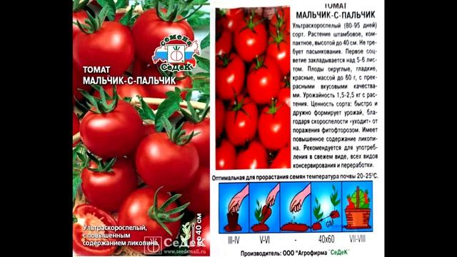 Томаты 2021 смотреть онлайн