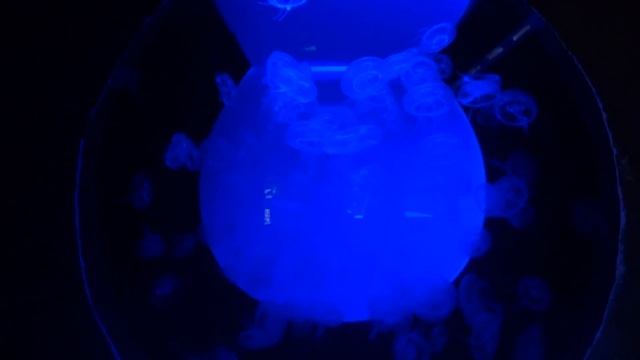 Милан за 1 день бюджетно. Достопримечательности, куда сходить и что посмотреть в Милане Италия смотреть онлайн