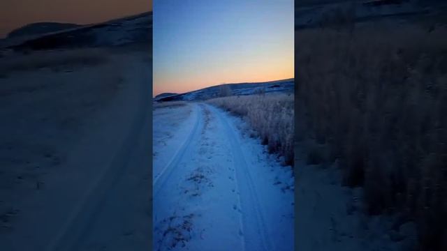 Встречаем с Диксоном рассвет. смотреть онлайн