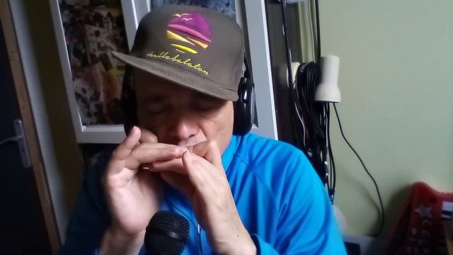 practice: Moses Concas - Street Art - E Lee Oskar Natural Minor harmonica cover + my idea смотреть онлайн