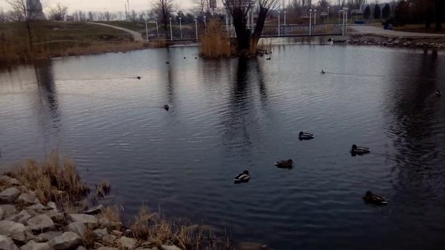 Tianhe H920+ Pro video test1 смотреть онлайн