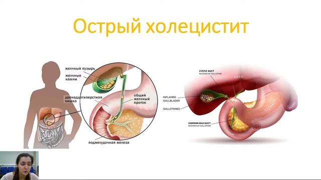 Смирнова О.А. - Хирургия для начинающих, или Самые частые хирургические вопросы смотреть онлайн