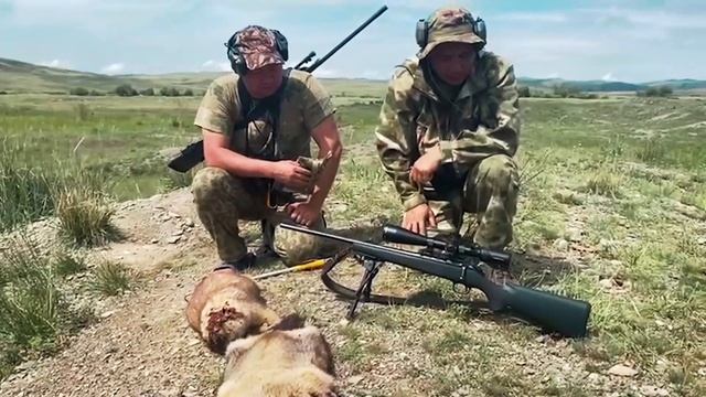 За шашлыком из сурчины! смотреть онлайн