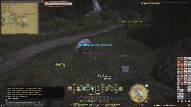 FFXIV Botanist Gathering Log Level 41-45 - A Realm Reborn смотреть онлайн