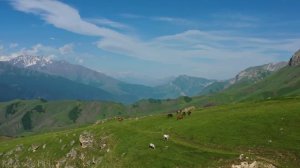 Morning Relaxing Music - Nature Relaxation Film 4K - Peaceful Relaxing Music - Video UltraHD