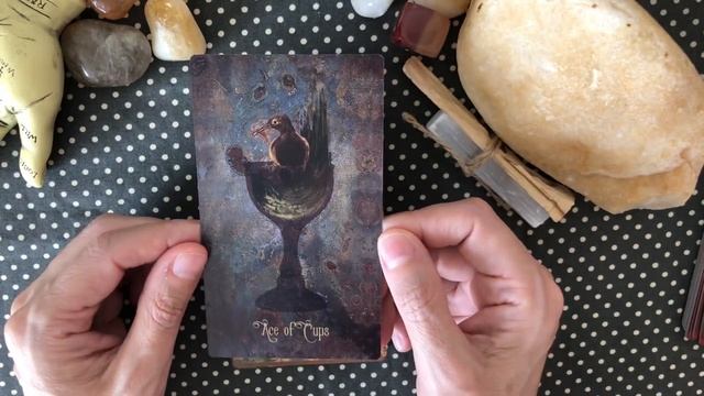 Unboxing and First Impressions: The Lonely Dreamer Tarot! смотреть онлайн