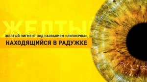 7 редких цветов глаз, которые встречаются у людей