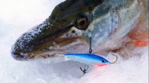 ? КАК ПРИВЯЗАТЬ БАЛАНСИР К ЛЕСКЕ?