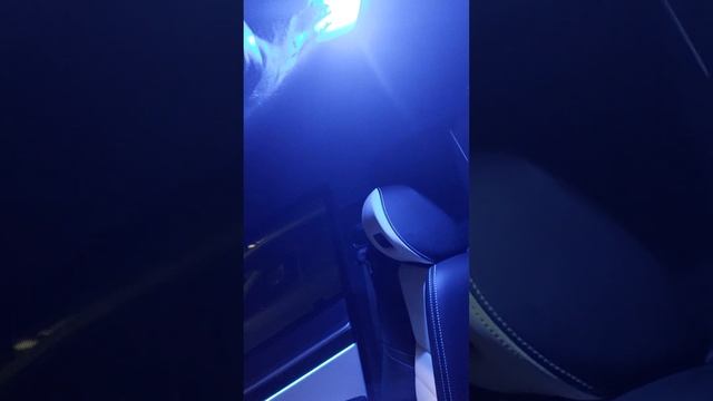 Контурная подсветка Honda Civic 4d