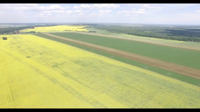 июль - макушка лета смотреть онлайн