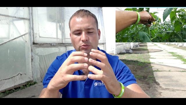 рН 5,5 - 6,0 лучший уровень кислотности для опрыскивания смотреть онлайн