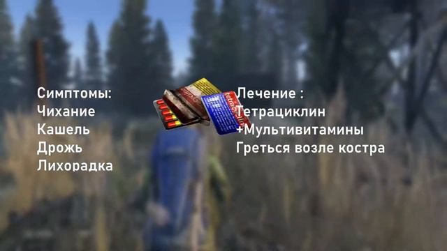 ВСЕ О БОЛЕЗНЯХ и их лечение в DAYZ Standalone смотреть онлайн