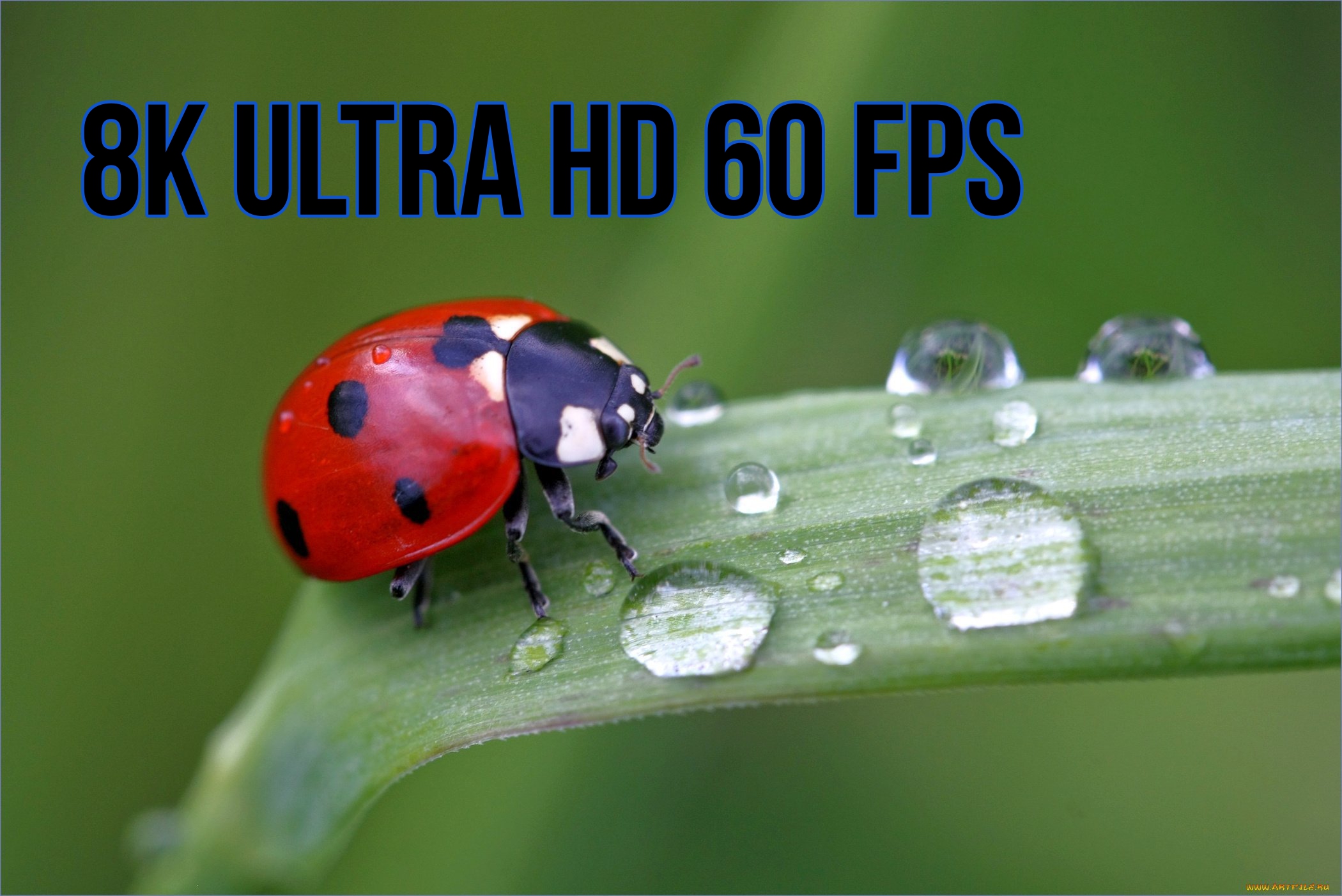8K ULTRA HD 60 FPS • Relaxing Music смотреть онлайн