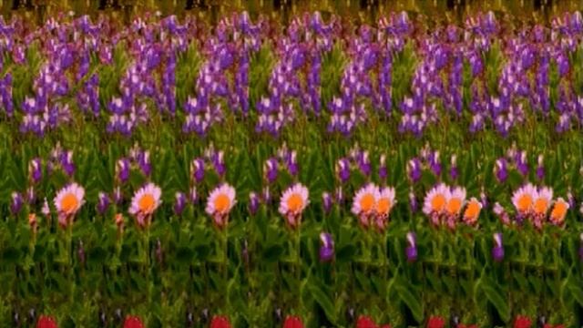 Музыкальная релакс-пауза.Стерео картинки с животными. смотреть онлайн