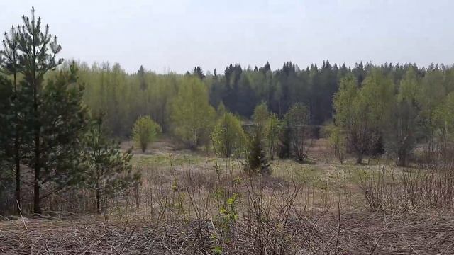 Нашёл заброшенную деревню в лесу. смотреть онлайн