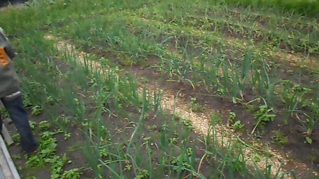 Авто -мотокросс в Орше 2018 смотреть онлайн