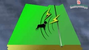 Электронный забор для собак  PET-023 от ёэлектроника.рф