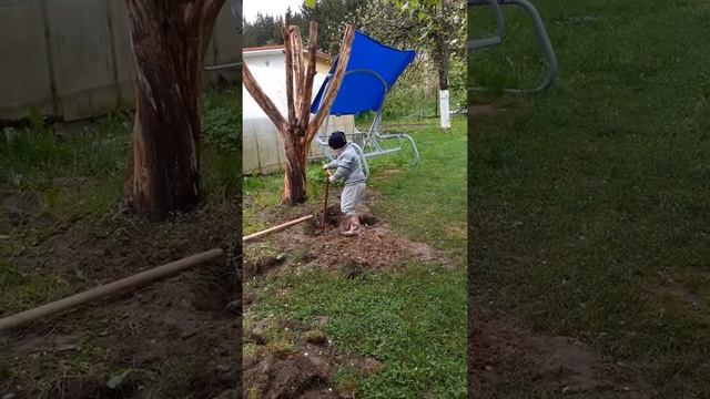 20 июля 2020 г.