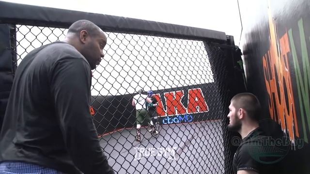 Хабиб и Кормье спорят про Дагестан  Подготовка к бою против Тони Фергюсона в АКА