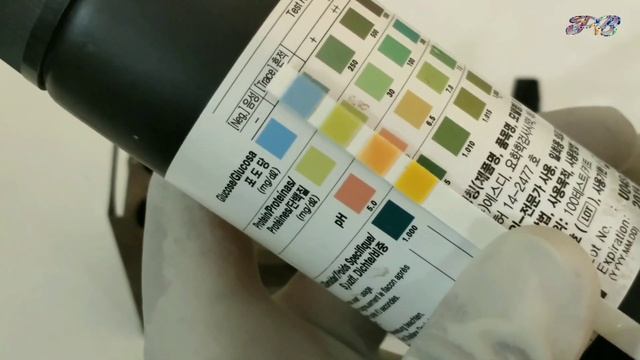 Urine complete or Urine R/E test or Urine R/M full practical process in a Laboratory смотреть онлайн
