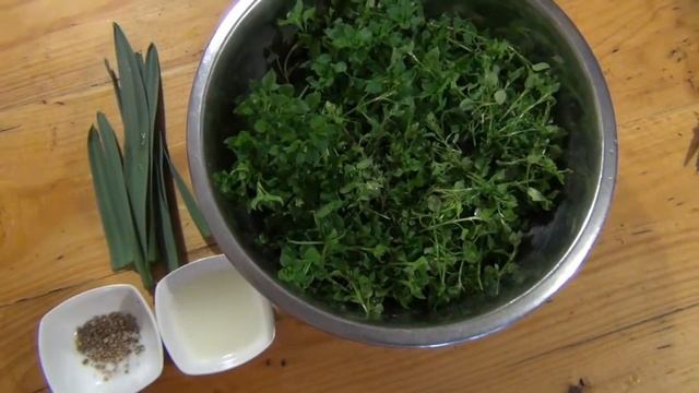 Закуска из мокрицы. Wood lice Grass Snack смотреть онлайн