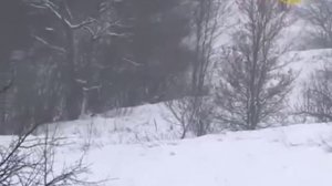 Охота на кабанов Охота и рыбалка в регионах России