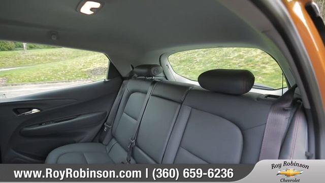 2017 Chevy Bolt EV Walkaround - Roy Robinson Chevrolet смотреть онлайн