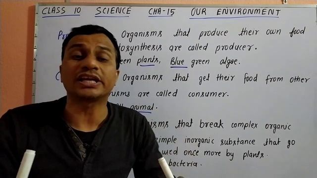 Producer, Consumer and Decomposer. смотреть онлайн
