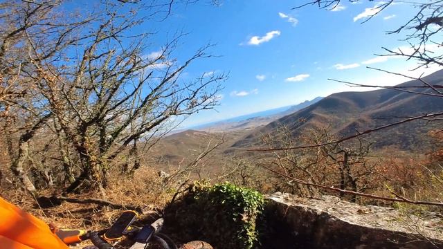 Едем в мокрый лес на МТБ смотреть онлайн