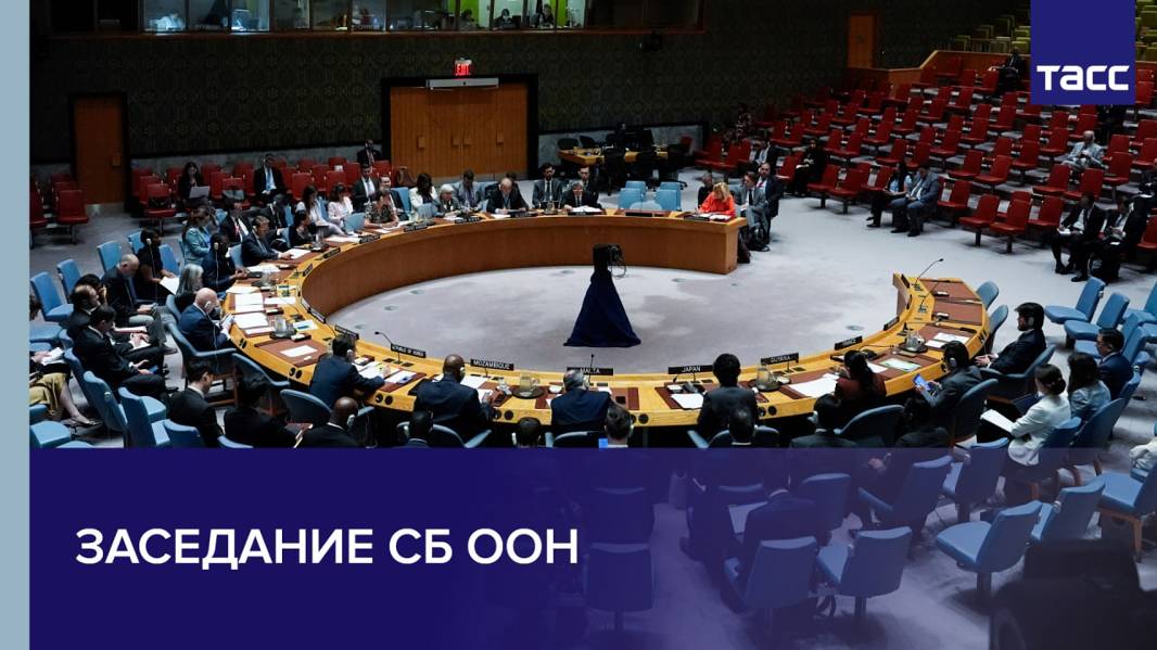 Заседание СБ ООН