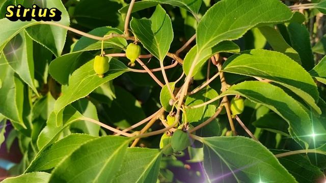 22 апреля Страстная пятница И день Вадима: что категорически нельзя делать смотреть онлайн